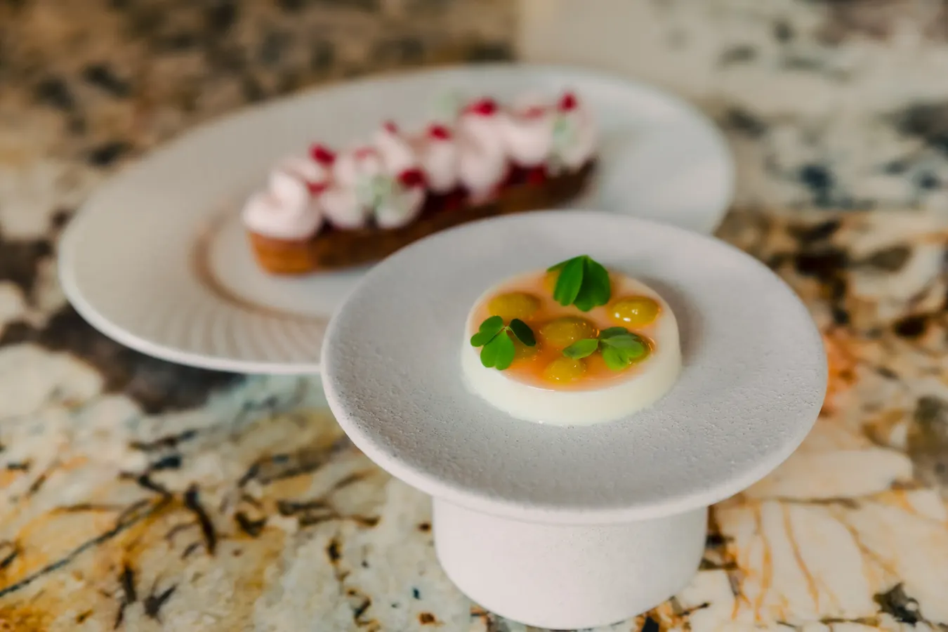 Panna cotta dessert garnished with herbs