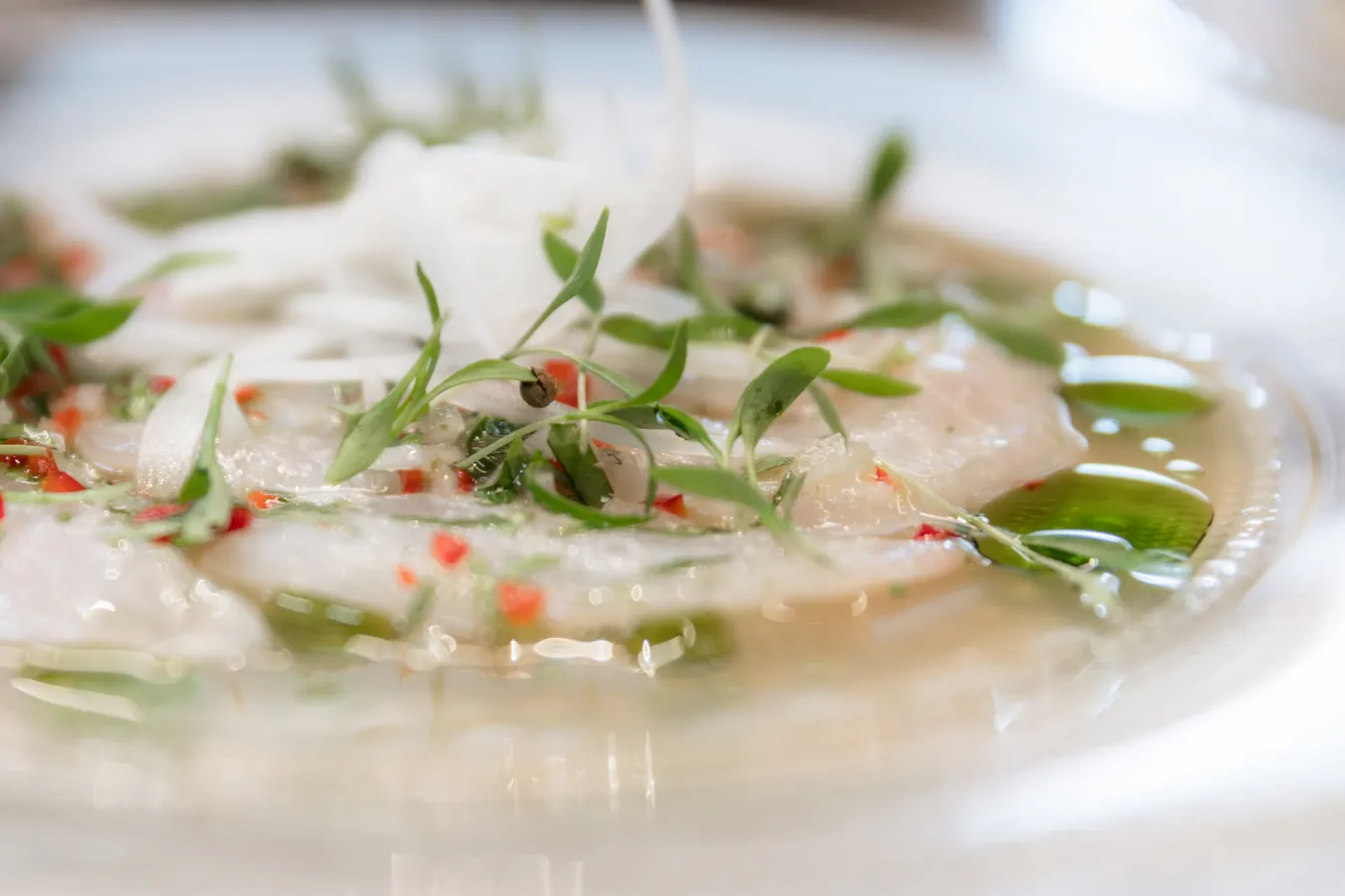 Fish carpaccio with herbs